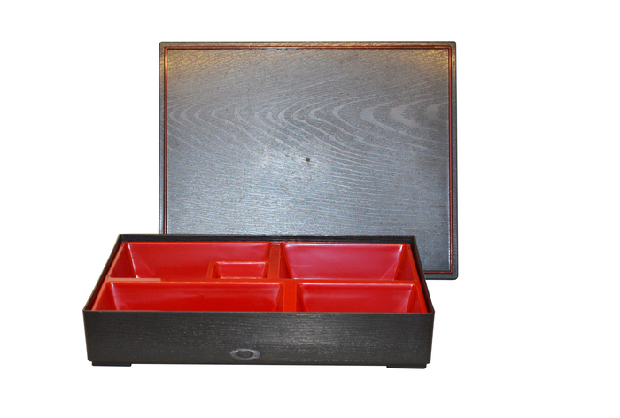 CAIXA DE BENTOU 30 X 24 X 5,7 CM